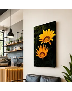 GAZANIA AMARILLA