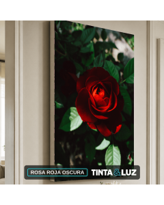 ROSA ROJA OSCURA