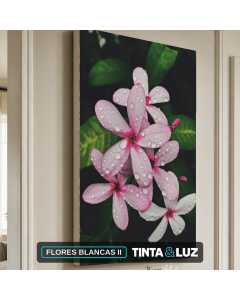 FLORES BLANCAS II