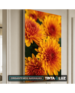 CRISANTEMOS NARANJAS