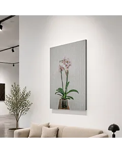 ORQUÍDEA BLANCA
