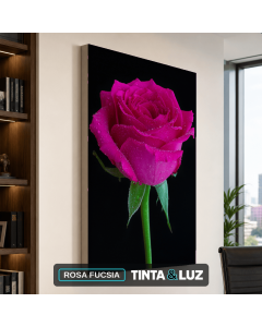 ROSA FUCSIA