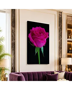 ROSA FUCSIA