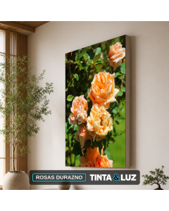 ROSAS DURAZNO