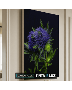 CARDO AZUL