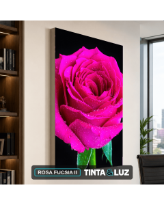 ROSA FUCSIA II