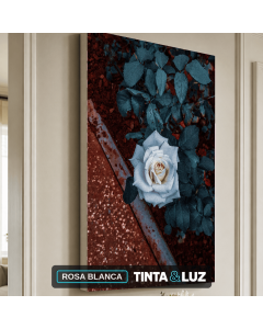 ROSA BLANCA