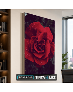 ROSA ROJA