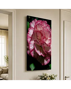 CLAVEL BICOLOR