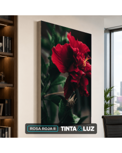 ROSA ROJA II