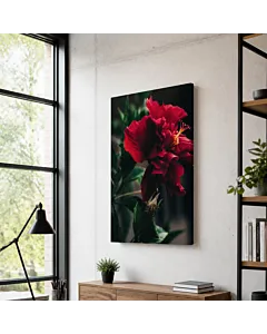 ROSA ROJA II