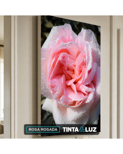 ROSA ROSADA