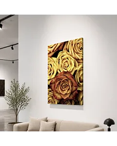 ROSAS DORADAS