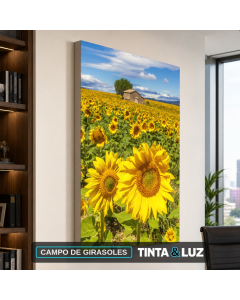 CAMPO DE GIRASOLES