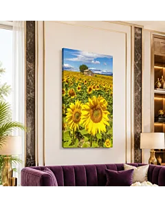 CAMPO DE GIRASOLES