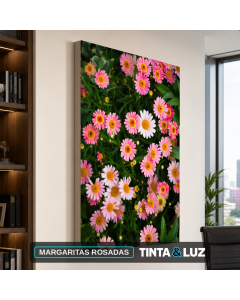 MARGARITAS ROSADAS