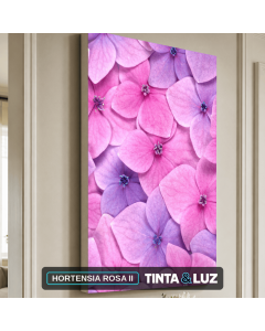 HORTENSIA ROSA II