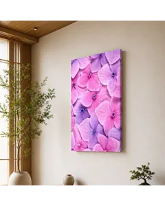 HORTENSIA ROSA II