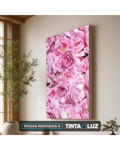 ROSAS ROSADAS II