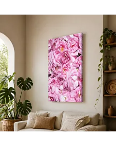 ROSAS ROSADAS II