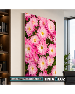 CRISANTEMOS ROSADOS