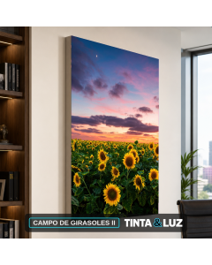 CAMPO DE GIRASOLES II