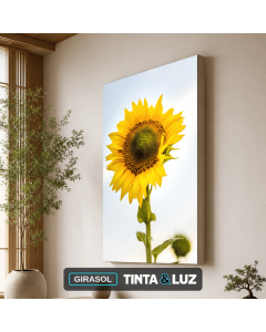 GIRASOL