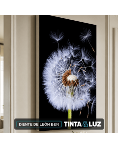 DIENTE DE LEÓN B&N