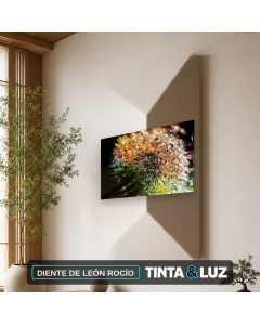 DIENTE DE LEÓN ROCÍO