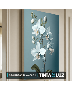ORQUÍDEAS BLANCAS II