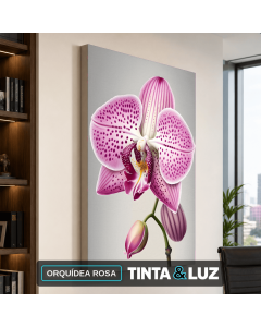 ORQUÍDEA ROSA