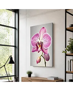 ORQUÍDEA ROSA