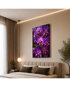 ORQUÍDEAS VIOLETAS