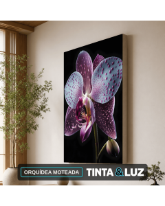 ORQUÍDEA MOTEADA