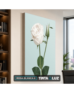 ROSA BLANCA II