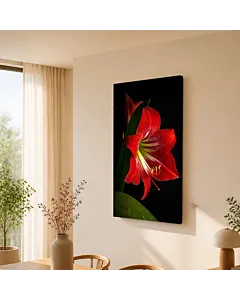AMARILIS ROJA
