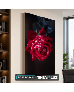 ROSA ROJA III