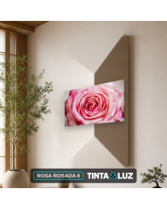 ROSA ROSADA II