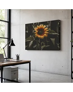 GIRASOL OSCURO