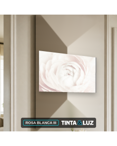 ROSA BLANCA III