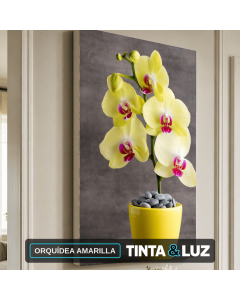ORQUÍDEA AMARILLA