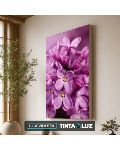 LILA VIOLETA