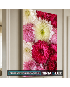 CRISANTEMOS ROSADOS II
