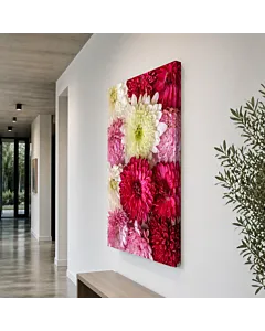 CRISANTEMOS ROSADOS II