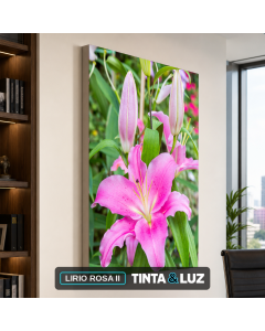 LIRIO ROSA II