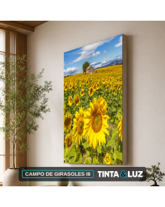 CAMPO DE GIRASOLES III