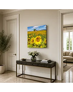 CAMPO DE GIRASOLES III