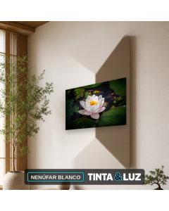 NENÚFAR BLANCO