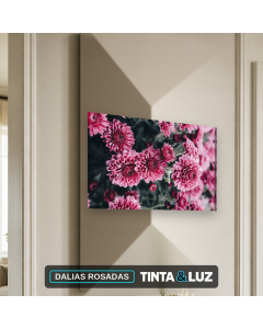 DALIAS ROSADAS