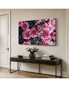 DALIAS ROSADAS